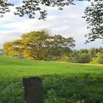 度假居 Nature Retreat In *