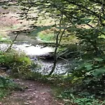 Nature Retreat In Vakantiehuis *