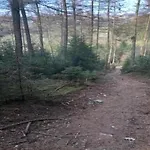 Nature Retreat In 度假居 *