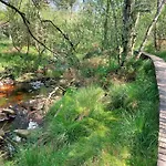 Vakantiehuis Nature Retreat In *