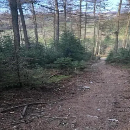 Nature Retreat In Feriehus *