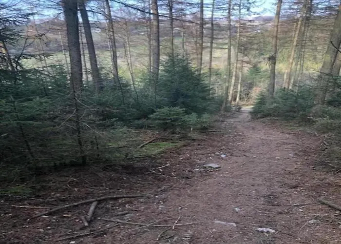 Nature Retreat In Vakantiehuis *