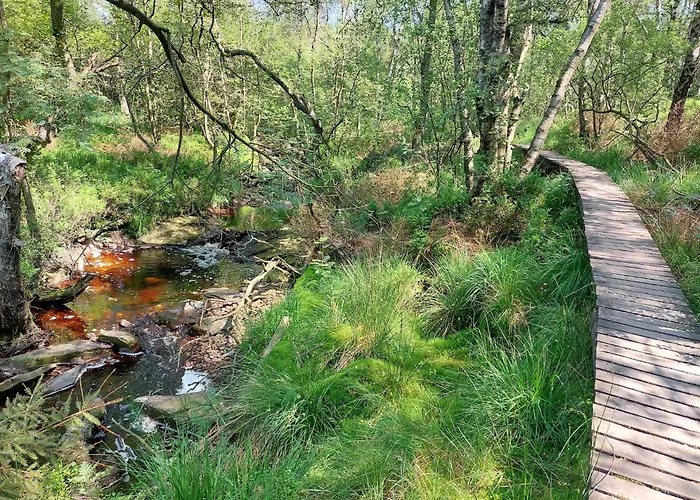 Vakantiehuis Nature Retreat In *